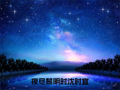 夜尽黎明时沈时宜美文欣赏完整版，林斯珩沈时宜精彩章节在线阅读