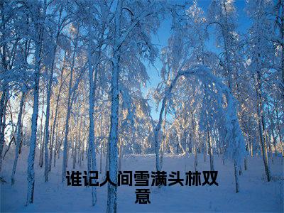 沈铭礼林双意小说（谁记人间雪满头林双意）全文免费阅读无弹窗大结局_沈铭礼林双意小说最新章节列表