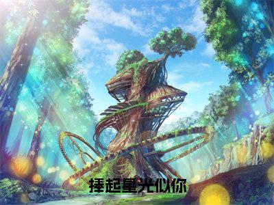 【新书】《捧起星光似你》全文免费阅读最新章节大结局-姜舒段以辰全文全章节免费阅读