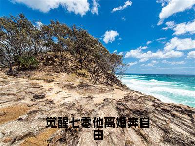 池钊韩美兰（觉醒七零他离婚奔自由）免费小说-觉醒七零他离婚奔自由全文在线阅读