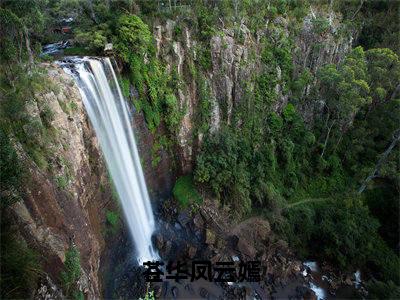 凤云嫣苍华（完整版）小说推荐-凤云嫣苍华热文小说苍华凤云嫣免费阅读全文