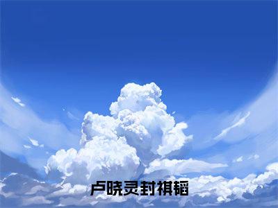 （封祺韬卢晓灵免费+番外）卢晓灵封祺韬高质量小说封祺韬卢晓灵推荐阅读-卢晓灵封祺韬小说最新章节