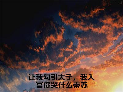 让我勾引太子，我入宫你哭什么秦苏秦苏最新章节免费阅读秦苏小说最新章节