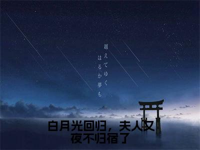 白月光回归，夫人又夜不归宿了（意泽盛知许）全文免费阅读_（意泽盛知许）最新章节列表笔趣阁（意泽盛知许）