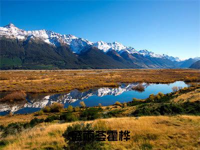 盛雨荟霍桦小说全文（盛雨荟霍桦）全文免费阅读无弹窗大结局_盛雨荟霍桦全文免费阅读无弹窗最新章节列表