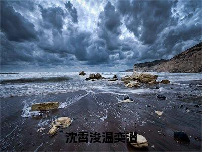 沈霄浚温奕澄（温奕澄沈霄浚）全文免费阅读无弹窗大结局_温奕澄沈霄浚免费阅读最新章节列表_笔趣阁