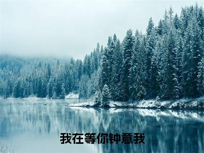 （我在等你钟意我）阮雪青顾鸣乔全集小说完整版大结局_我在等你钟意我全文免费无弹窗最新章节列表_笔趣阁