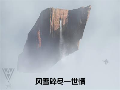 燕时瑶（风雪碎尽一世情）全文免费阅读无弹窗大结局_风雪碎尽一世情免费最新章节列表_笔趣阁