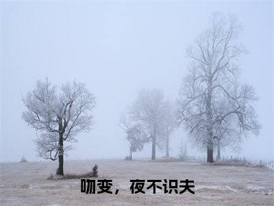 吻变，夜不识夫宋玄音谢季殊小说无删减阅读无干扰（宋玄音谢季殊）番外+续集