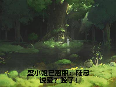 陆霆枭盛眠：结局+番外全文免费阅读(盛小姐已离职：陆总说爱？晚了！：结局+番外小说)全文免费阅读无弹窗大结局_ (盛小姐已离职：陆总说爱？晚了！：结局+番外)陆霆枭盛眠：结局+番外小说全文免费阅读免费阅读无弹窗最新章节列表_笔趣阁（盛小姐已离职：陆总说爱？晚了！：结局+番外小说）