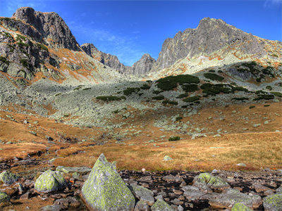 高点击小说重生之华山派少掌门岳阳完整版-重生之华山派少掌门（岳阳）免费阅读